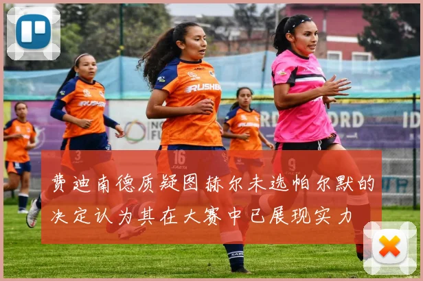 费迪南德质疑图赫尔未选帕尔默的决定认为其在大赛中已展现实力